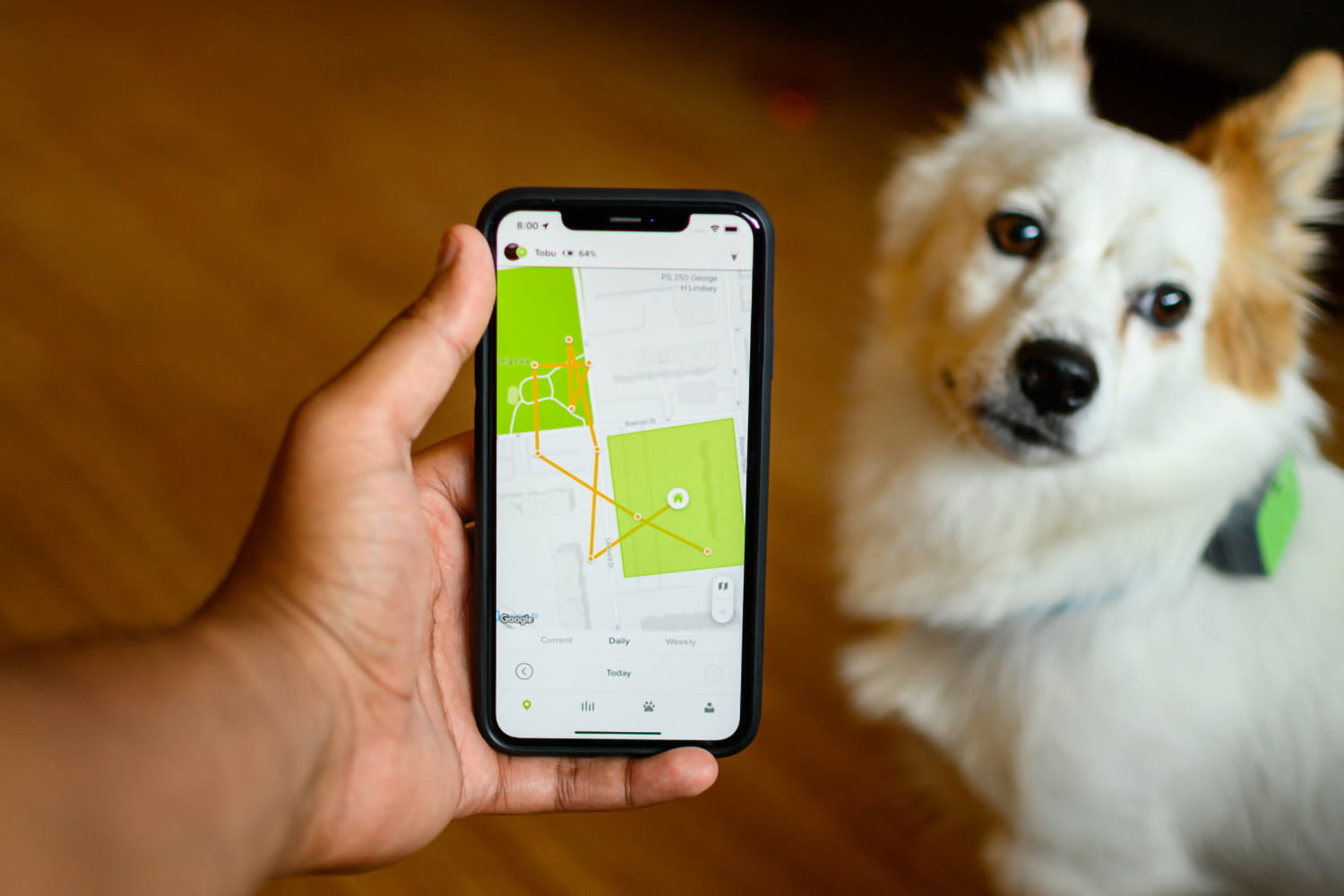 Pet Trackers 