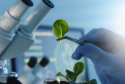 Plant Biotechnology Services Market