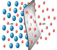 Polymeric Membrane For Separation