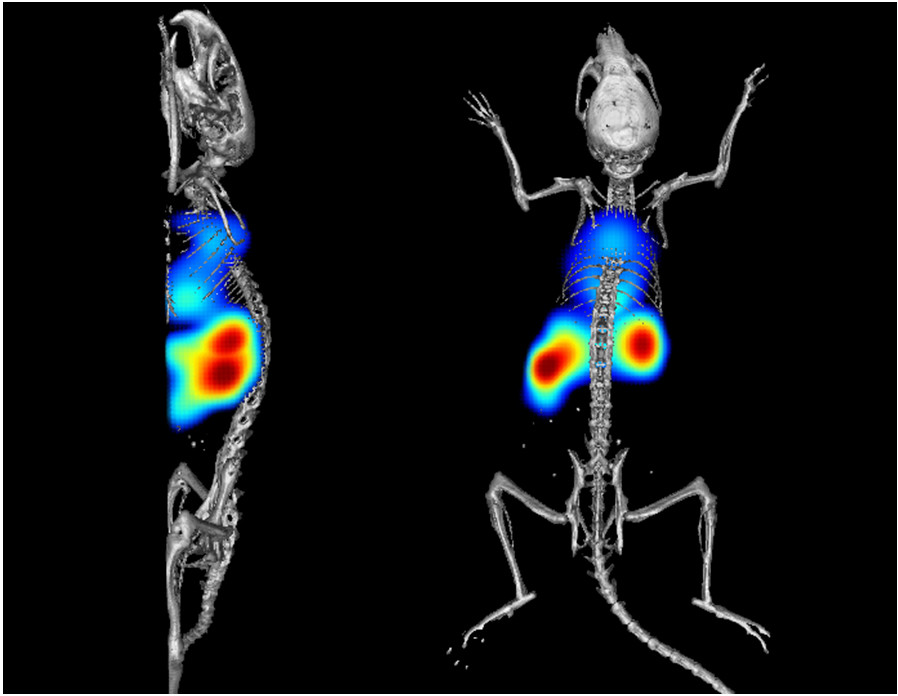 Preclinical Imaging Market Global Research and Clinical Analysis 2019-2025