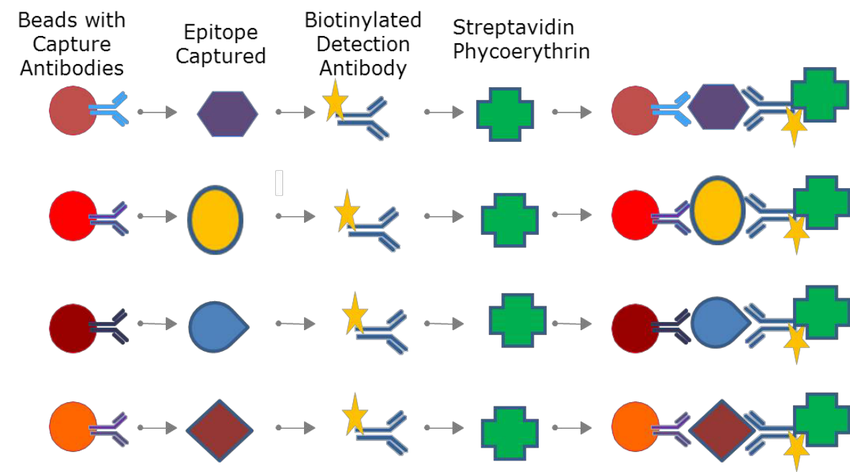 Global Gene Expression Analysis Market 