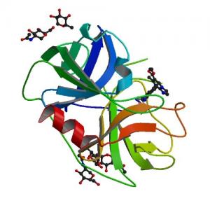 Recombinant Trypsin Solution Market In-deep Analysis And Experts Review Report 2019-2024