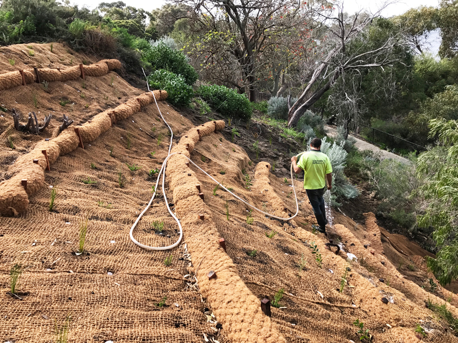 How Do Slope And Vegetation Influence Erosion