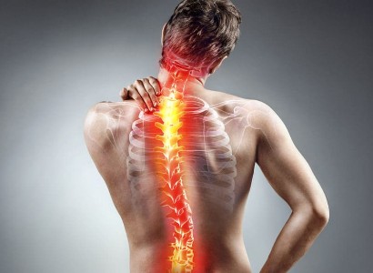 Scoliosis Management Market Segment by Regions, Applications, Product Types and Analysis by Growth and Forecast To 2026
