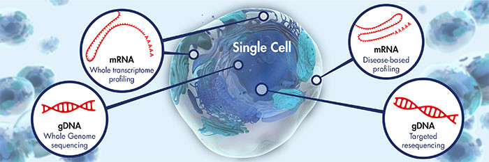 Single-Cell Analysis Market In Health Monitoring Devices 2019