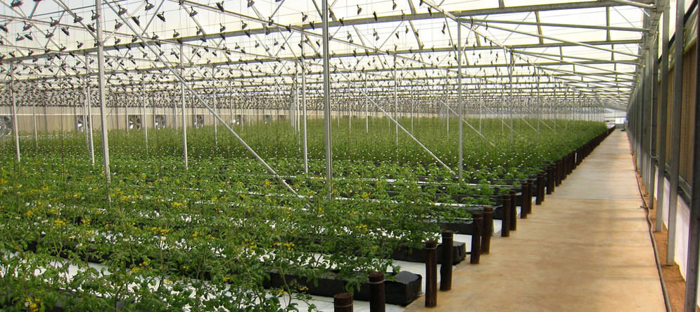 Smart Greenhouse Irrigation System