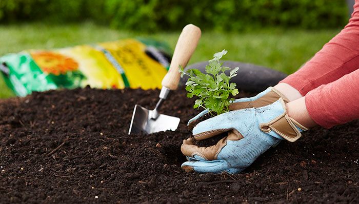 Global Soil Conditioners Market Analysis By Influential Trends,Key Manufacturers, Regions, Type, Application And Growth With BASF SE; Akzo Nobel N.V.; Solvay; Evonik Industries AG; Croda International Plc; Clariant; Eastman Chemical Company; ADAMA Ltd.& Others