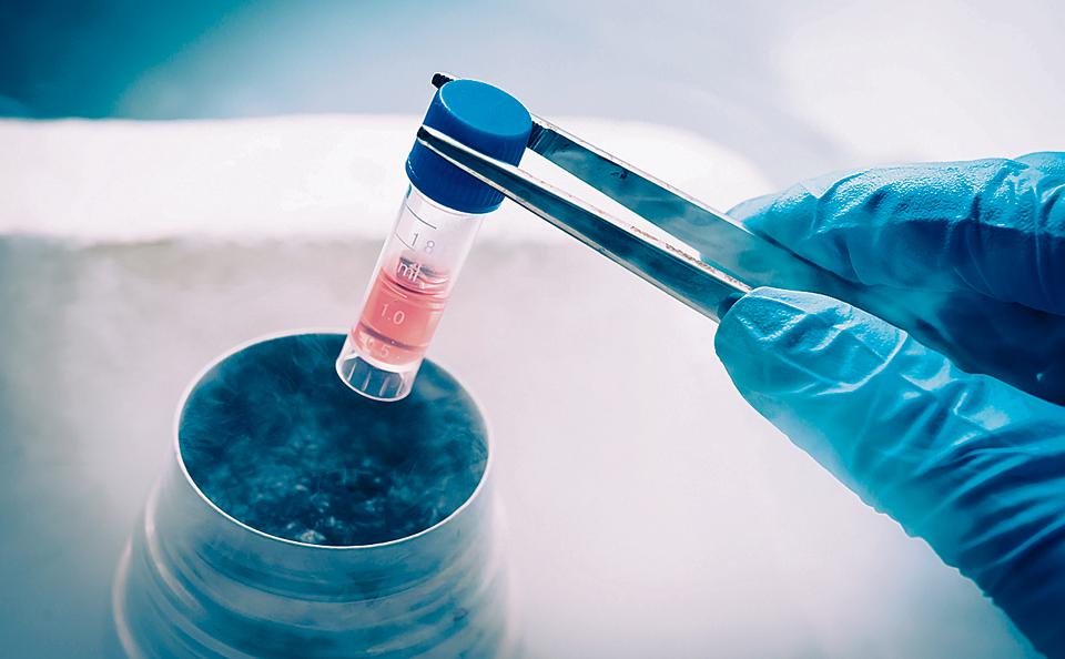 Stem Cell Banking Market Industry Analysis & Forecast (2017-2026)