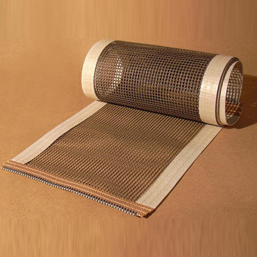  Global Teflon Mesh Belt Market Strategics Assessment 2019 2025 