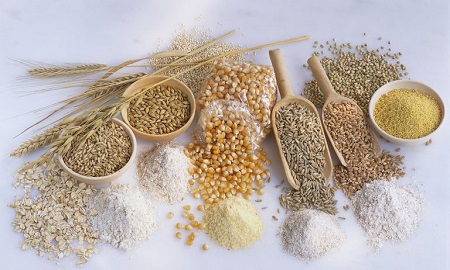 Wheat Fibres Market