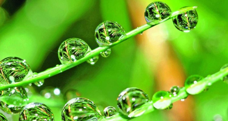 Global Bio Based Resin Market: Industry Analysis and Forecast 2018-2026
