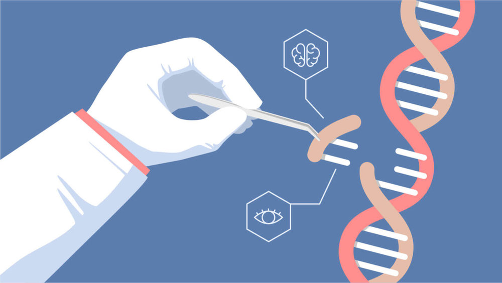 Gene Editing Market– Global Industry Analysis and Forecast (2017-2026)