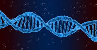 Global Viral Vector and Plasmid DNA Manufacturing Market – Industry Analysis and Forecast (2019-2026)