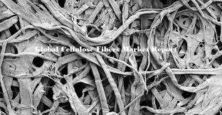Cellulose Fiber Market – Global Industry Analysis and Forecast (2018-2026)