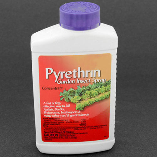 Global Pyrethrin Market: Industry Analysis and Forecast (2019-2026)