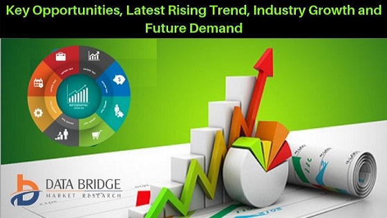 Talc Market Outlook and Influencing Key Growth Drivers 2026: Imerys, Mondo Minerals B.V., Minerals Technologies Inc., IMI FABI S.p.A., Golcha Group, Nippon Talc Co.Ltd., AIHAITALC.COM