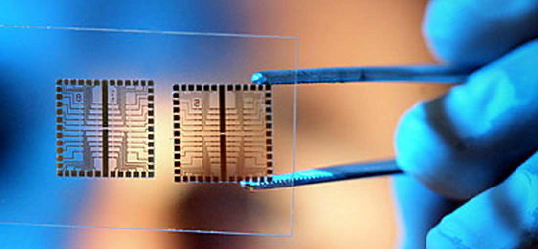 Global Biochips (Microarrays/Microfluidics) Market Competitive Intelligence Insights 2020 – 2024 : Abbott, Agilent, PerkinElmer, Fluidigm, Illumina