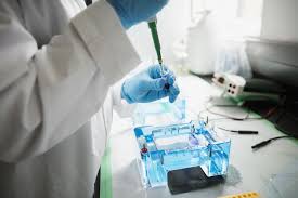 Global Electrophoresis Market 2020 Growth Analysis : Bio-Rad Laboratories, Ge Healthcare , Thermo Fisher Scientific