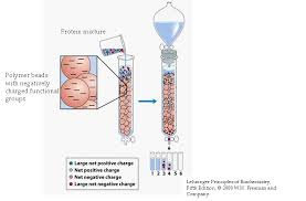 Global Exchange Chromatography Reagent Market Revenue Strategy 2020 – Avantor Performance Materials