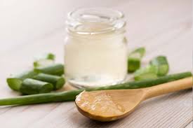 Food Grade Aloe Extract Market 2020 by Demand, Production, Competitive Development