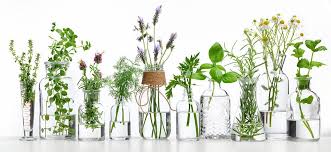 Fragrance Ingredients Market 2020 by Demand, Production, Competitive Development, Supply, Top Manufacturers, End User and Strategies Analysis and Forecast 2026