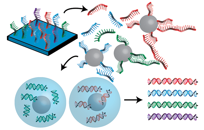 Global Gene Synthesi Market Involving Strategies 2020-2026 | Genscript, GeneArt (Thermofischer), IDT, DNA 2.0 (ATUM)