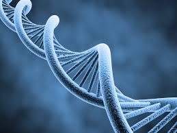 Global Genome Engineering Market Involving Strategies 2020-2026 | Thermo Fisher Scientific, Merck KGaA, Horizon Discovery, Genscript USA