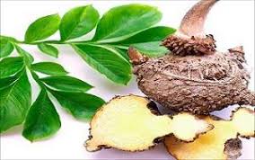 Growth of Glucomannan Extracts Market in Global Industry | Overview, Size and Forecast 2020-2026