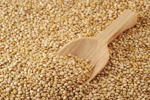 Global Organic Quinoa Seeds Market Key Business Opportunities | Adaptive Seeds, Territorial Seed Company, Victory Seeds