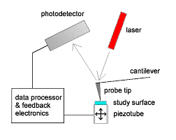 Global Scanning Probe Microscopy Market Involving Technology 2020 – Agilent Technologies, Bruker, Hitachi