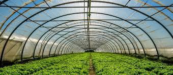 Industry Trend On Global Agricultural Films Market – Insights on Challenges & Opportunities by 2020 to 2026 – Trioplast, British Polythene Industries (BPI)