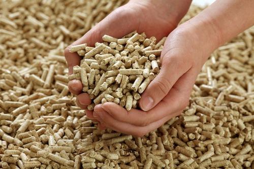 Global Biomass PelletsMarket: In-Depth Insight of Growth And Upcoming Trends, Opportunities 2020 | EU Pellets GmbH, Enviva LP, Sinopeak