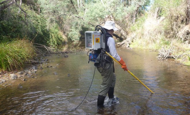 Global Electrofishing Market 2020, Industry Insights, Trends and Forecast by 2024 : Keystone Environmental, AEC Lakes, Mainstream Fisheries