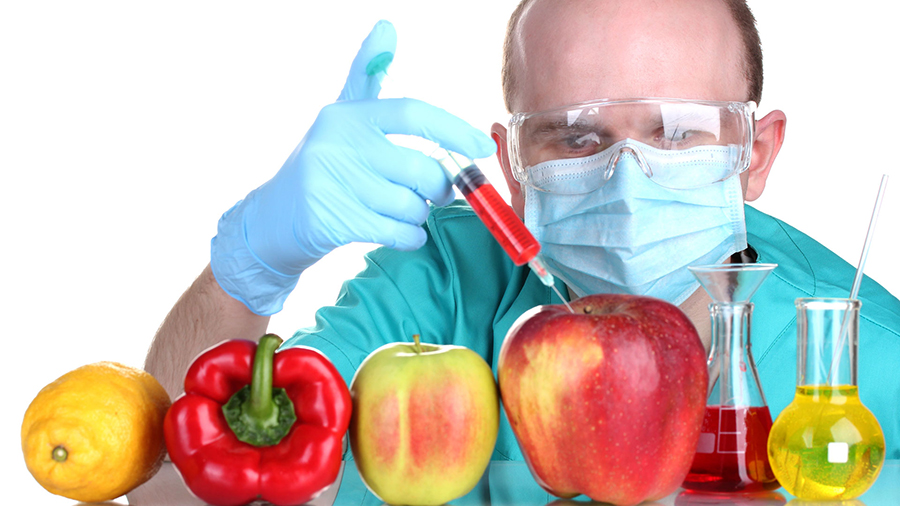 Genetically Modified Food Market Report – Global Industry Trends, Share, Size, Growth, Opportunity and Forecast 2020 – 2024