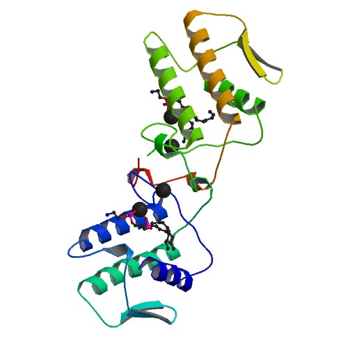 Global Phospholipase Enzyme Market 2020 Feasibility Study | R&D System, Thermo Fisher Scientific, Novus Biologicals