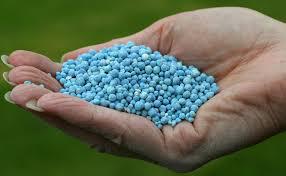 Global Phosphoric Fertilizer Market Strategies Of Players 2020 – 2026 | Agrium Inc., Eurochem, Yara International Asa, Coromandel International Ltd.