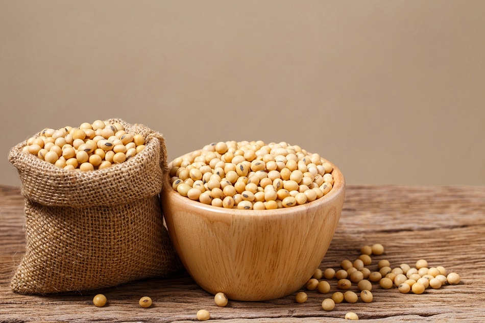 Soy Based Biodegradable Polymer Market (2020-2027) | Growth Analysis By Bunge Limited, Archer Daniels Midland Company, BioBased Technologies, Elevance Renewable Sciences
