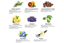 Global Terpenes Market By Type(Pinene, Limonene, Others) – Global Trends, Forecast 2019 – 2026 | Arora Aromatics, Mentha & Allied Products