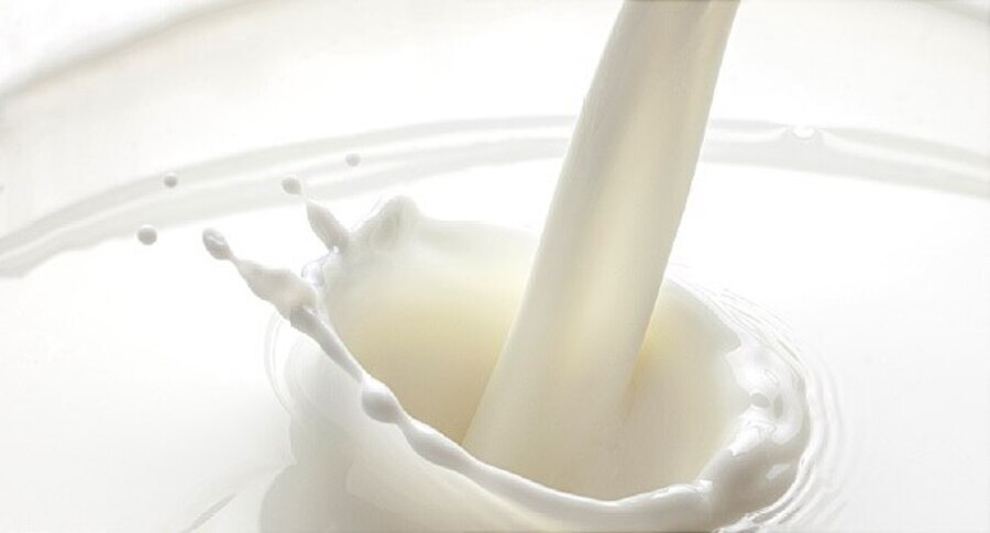 Global Lactose Free Dairy Products Market to Undergo Rapid Advancements During the COVID-19 Period