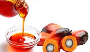 Analysis of COVID-19 Crisis-driven Growth Opportunities in Palm Kernel Oil Market