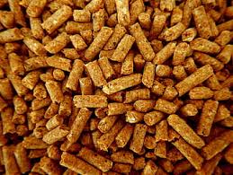 Animal Feed Additives Market Set for Rapid Growth and Trend, by 2029