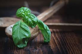 Analysis of COVID-19 Crisis-driven Growth Opportunities in Basil Leaves Market