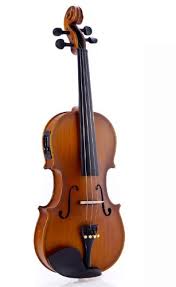 Acoustic Violin Market