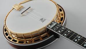 Global Banjo Strings Market 2020: Ashbury, Deering, John Pearse, Golden Gate, D’Addario