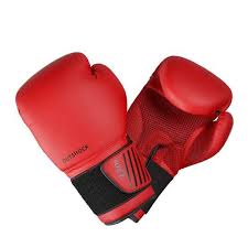 Boxing Gloves Market