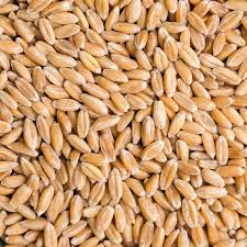 Global Dinkel Wheat Market 2020:  Archer Daniels Midlcompany, Cargill, Hain Celestial, Doves Farm Foods