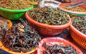 Analysis of COVID-19 Crisis-driven Growth Opportunities in Edible Insects Market