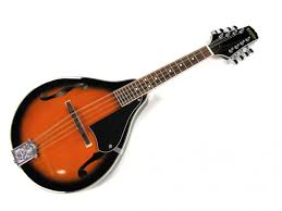 Global Flat backed Mandolin Market 2020: Ashbury, Golden Gate, Kentucky, John Pearse, D’Addario