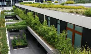 Global Green Roof Market 2020: Optigreen, TAJIMA, Soprema, Tremco, Sempergreen