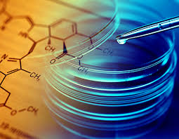 L-Phenylalanine Market